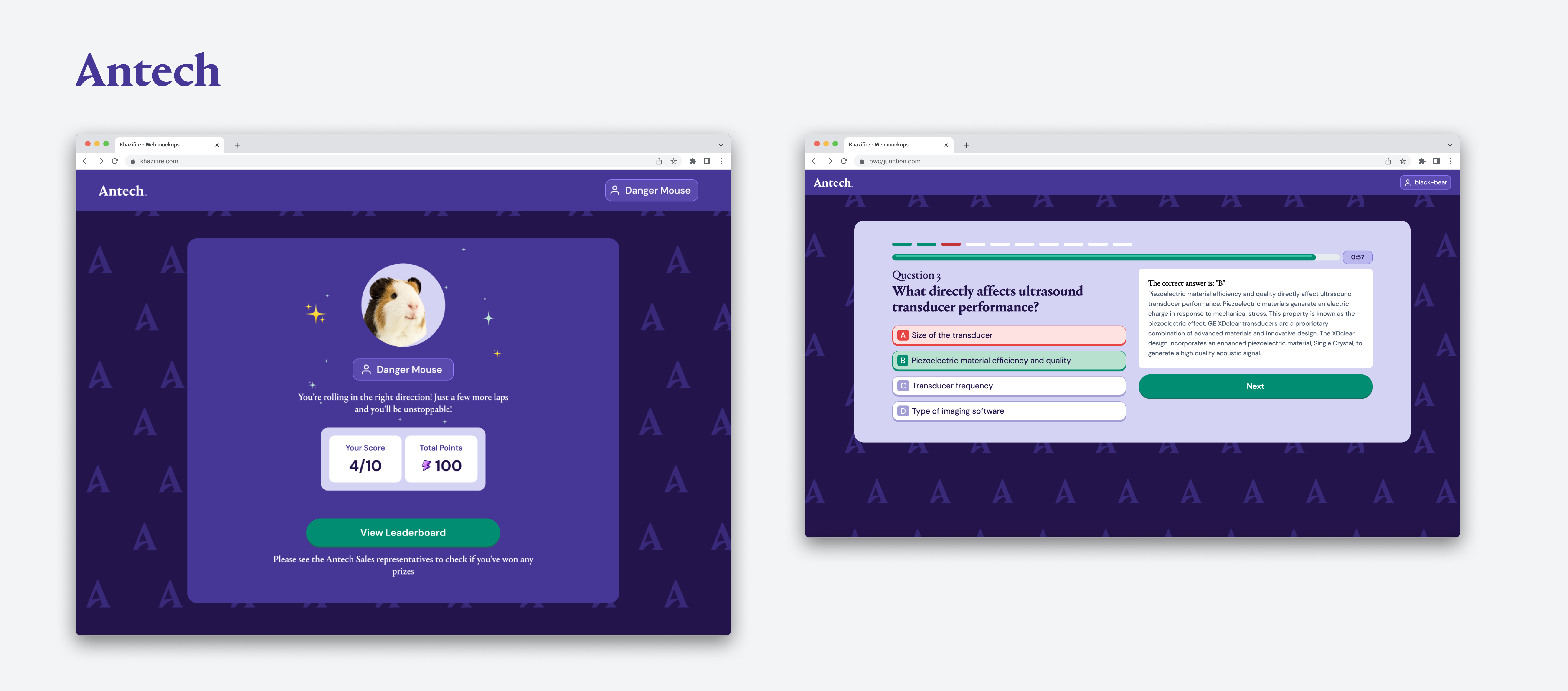 Antech Project Screenshot